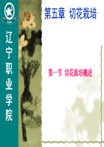 花卉生产学-第五章-切花栽培(第一节-切花栽培概述)