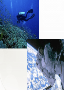 11231113 祁晓雨 试讲5 氧气