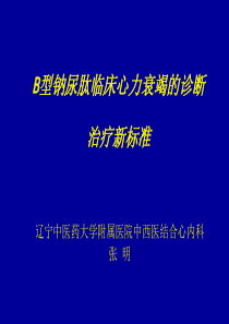 辽宁中医药大学附属医院中西医结合心内科