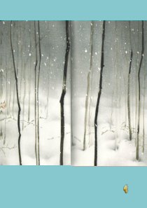 绘本故事许嫣娜 《纸马》