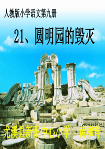 21圆明园的毁灭课件ppt_11