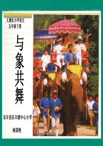 27与象共舞2