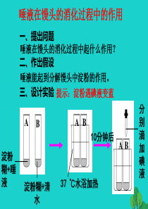 七年级生物下册-第二单元-第一章-第一节-食物在口腔中的消化-探究唾液在馒头的消化过程中的作用冀少版