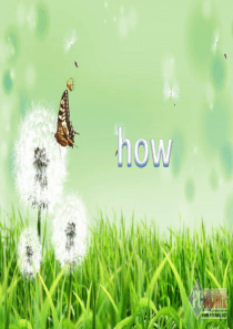 how often  how soon how long 的区别