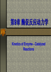 第9章 酶促反应动力学