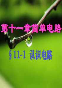 北师大版九年级物理§11-1认识电路