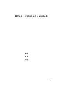 基层站队HSE标准化建设工作实施方案资料