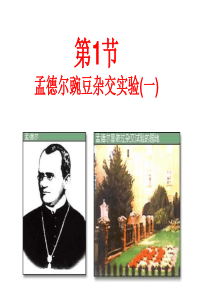 孟德尔豌豆杂交实验(一)-公开课一等奖课件PPT