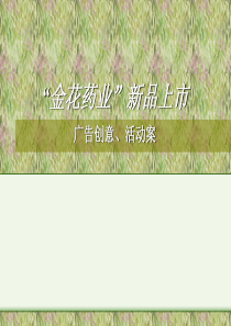 金花药业新品上市广告创意及活动案