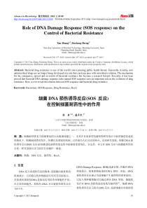 细菌DNA损伤诱导反应(SOS-反应)在控制细菌耐药性中的作用