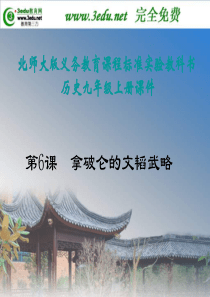 九年级历史拿破仑的文韬武略