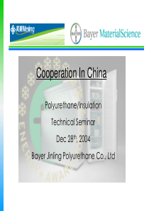 拜耳聚氨酯教程