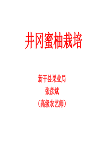 井冈蜜柚栽培