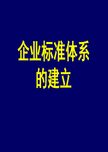 企业标准体系的建立