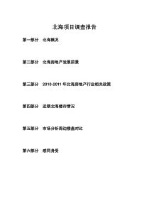 北海报告