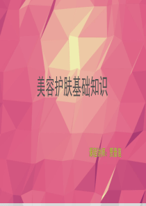 护肤基础知识培训