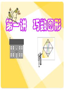 第一讲巧数图形