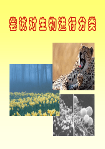 尝试对生物进行分类