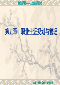 职业生涯规划与管理