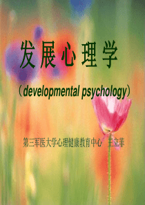 发展心理学-心理咨询师培训