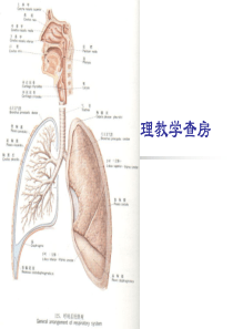 支气管肺炎护理查房