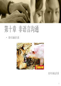非语言沟通与沟通技巧