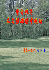 带电粒子在匀强磁场中的运动规律
