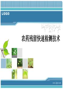 食品农药残留快速检测PPt（PPT56页)