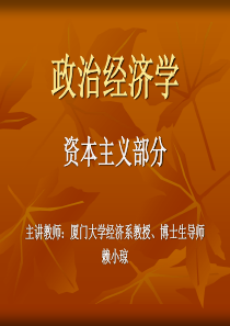 政治经济学(资本主义)讲义课件3..