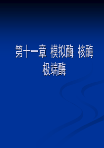 第十一章 模拟酶 核酶 极端酶