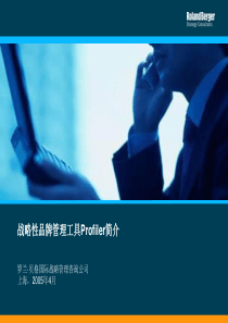 罗兰贝格战略性品牌管理工具Profiler简介