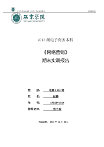 网络营销实训资料