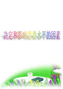 决定和影响消费水平的因素2