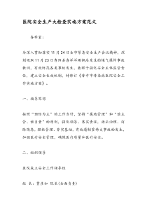 医院安全生产大检查实施方案范文
