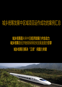成都城乡统筹发展中区域项目运作成功的案例汇总与分析