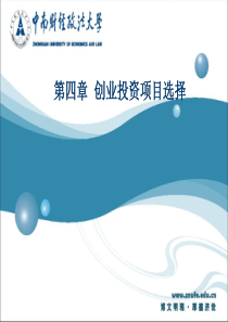 第四章  创业投资项目选择