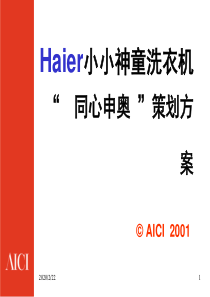 XX洗衣机同心申奥策划方案