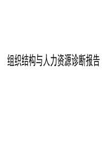 组织结构与人力资源诊断报告2