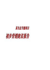 某生态节能项目初步营销建议报告75p