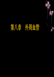 外周血管超声