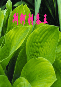 公开课课件优秀 荆轲刺秦王PPT