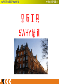 5WHY_鱼骨图分析及制作方法(1)