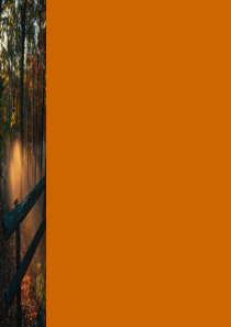 职业规划课程培训――性格、兴趣探索_