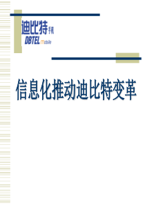信息化推动迪×特变革（PPT 44页）