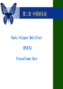 何首乌
