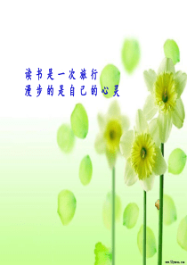 《秘密花园》课件