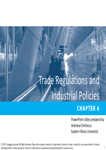 凯伯国际贸易第六章(英文原版课件)