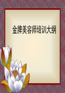 金牌美容师培训幻灯片PPT课件
