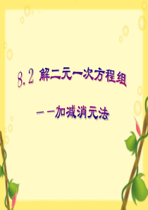 人教版七年级数学下册8.2.2-加减消元法解二元一次方程组公开课课件