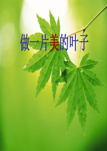 做一片美丽的叶子・实用